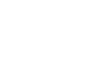 dsb-logo_300.png